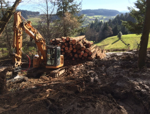 Rangement de bois